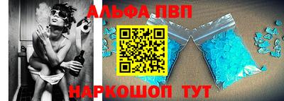 спайс Кингисепп