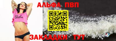 спайс Кингисепп