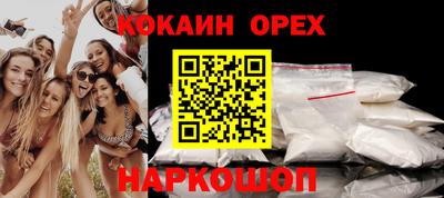 спайс Кингисепп