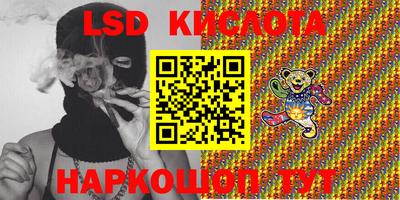 спайс Кингисепп