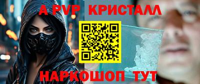 спайс Кингисепп