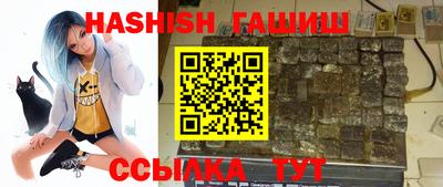 спайс Кингисепп
