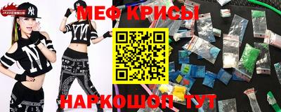 спайс Кингисепп