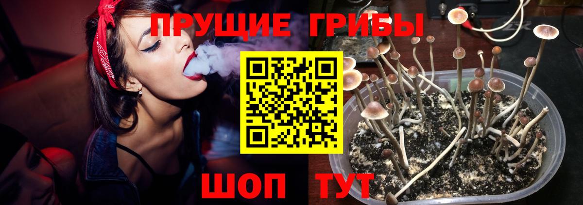 Котовск  Галлюциногенные грибы Psilocybine cubensis  Галлюциногенные грибы мухоморы  Вход с VPN 