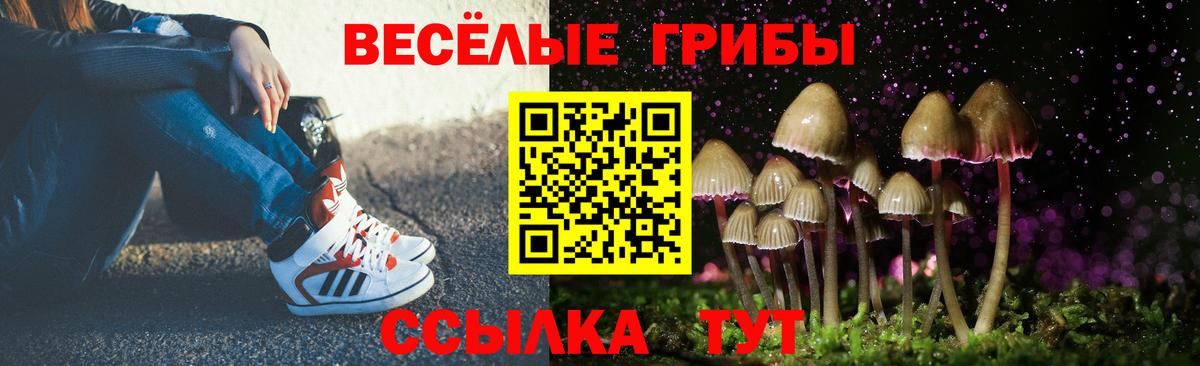 Псилоцибиновые грибы MAGIC MUSHROOMS Котовск