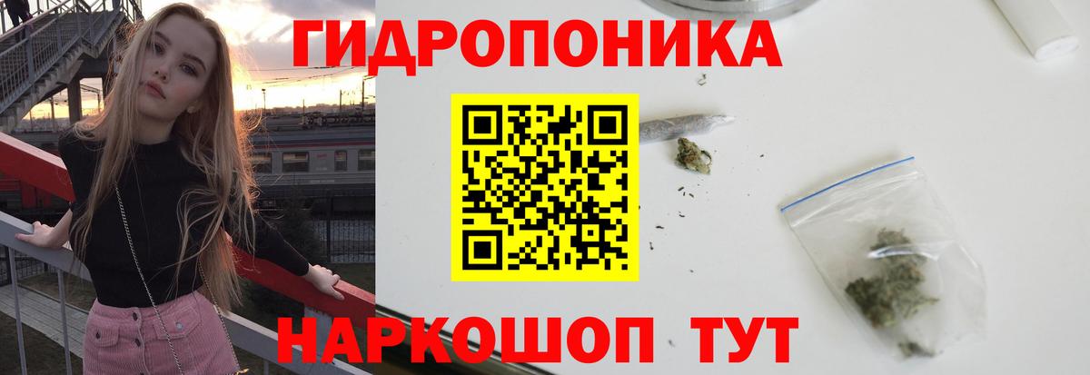 Канабис марихуана  Бошки Шишки Bruce Banner  Вход с VPN  Котовск  Марихуана VHQ 